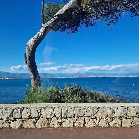 Cozy 1 Bedroom With A Seaview, Ac, Pool And Parking * Antibes