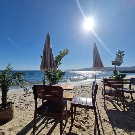 Cozy 1 Bedroom With A Seaview, Ac, Pool And Parking Antibes